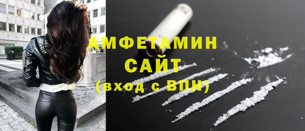 ГАЛЛЮЦИНОГЕННЫЕ ГРИБЫ Гусь-Хрустальный