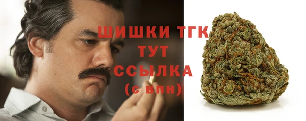 прущие грибы Гусиноозёрск
