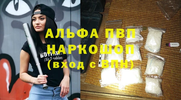 прущие грибы Гусиноозёрск