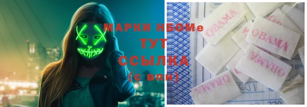ГАЛЛЮЦИНОГЕННЫЕ ГРИБЫ Гусь-Хрустальный