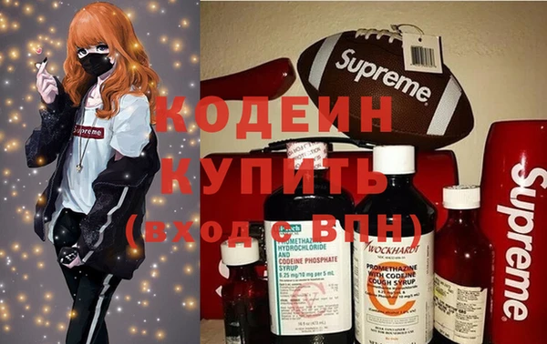 прущие грибы Гусиноозёрск