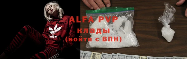 ГАЛЛЮЦИНОГЕННЫЕ ГРИБЫ Гусь-Хрустальный