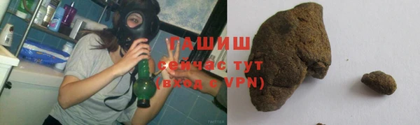 прущие грибы Гусиноозёрск