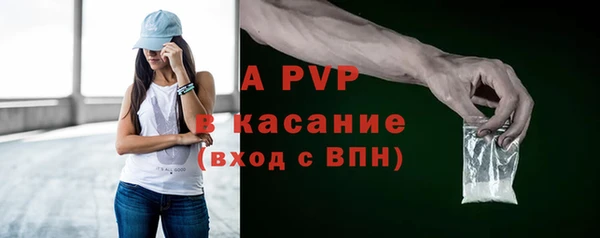 прущие грибы Гусиноозёрск