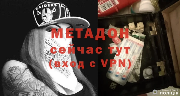 прущие грибы Гусиноозёрск