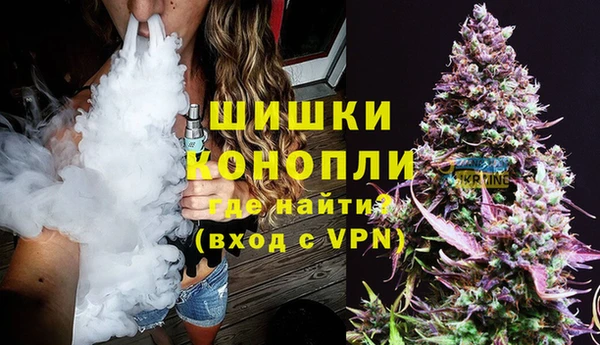 ГАЛЛЮЦИНОГЕННЫЕ ГРИБЫ Гусь-Хрустальный