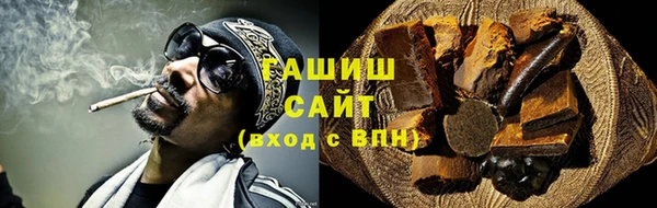 прущие грибы Гусиноозёрск