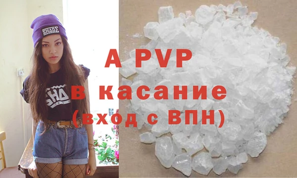 прущие грибы Гусиноозёрск