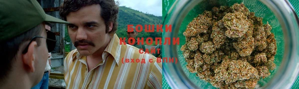 ГАЛЛЮЦИНОГЕННЫЕ ГРИБЫ Гусь-Хрустальный