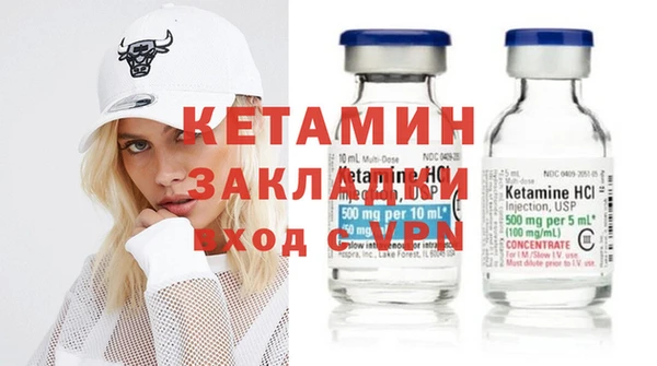прущие грибы Гусиноозёрск