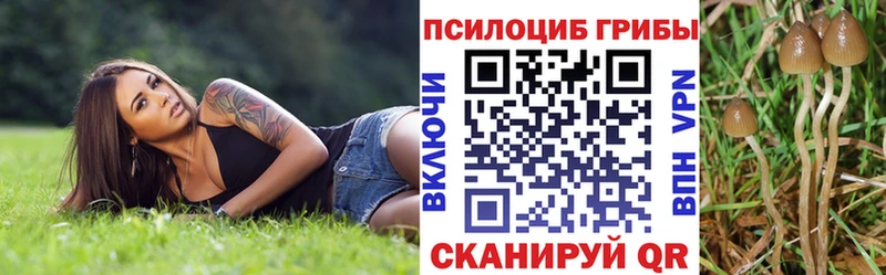 Купить закладки  Мурманск  Галлюциногенные грибы ЛСД 